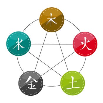 Chinese Medicin Palma